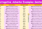 Interrogative Adverbs Examples Sentences in English with Pictures