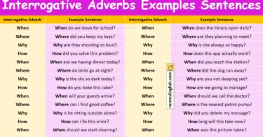 Interrogative Adverbs Examples Sentences in English with Pictures