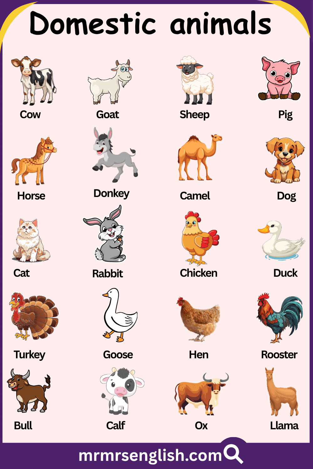 Domestic Animals Names In English With Their Pictures MR MRS ENGLISH