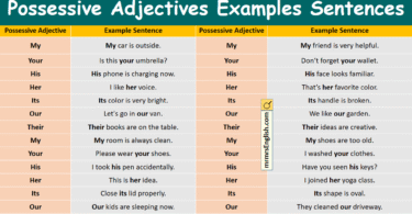 Possessive Adjectives Examples Sentences in English and Pictures