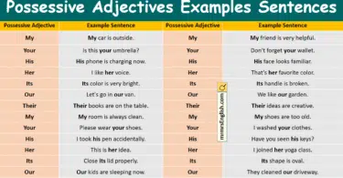 Possessive Adjectives Examples Sentences in English and Pictures