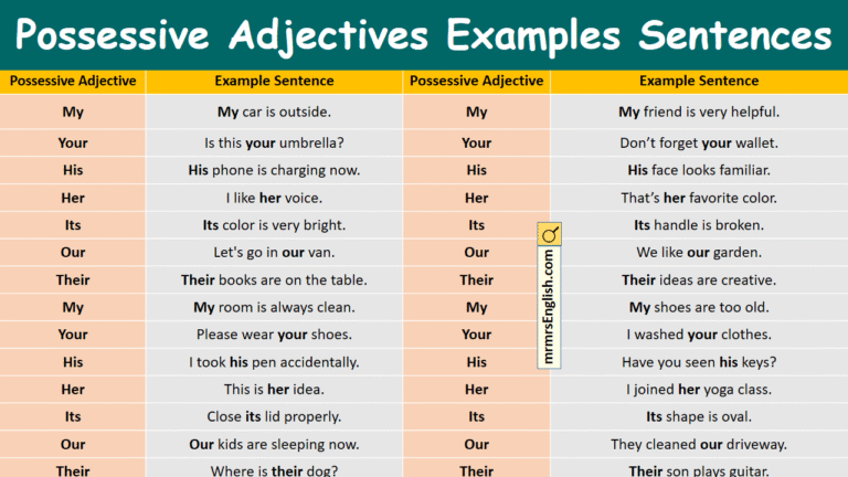 Possessive Adjectives Examples Sentences in English and Pictures - MR ...