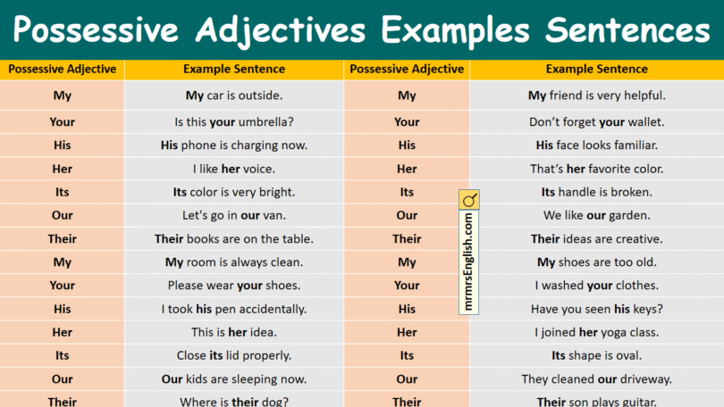 Possessive Adjectives Examples Sentences in English and Pictures