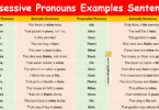 Possessive Pronouns Examples Sentences in English with Pictures