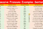 Possessive Pronouns Examples Sentences in English with Pictures