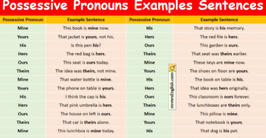 Possessive Pronouns Examples Sentences in English with Pictures