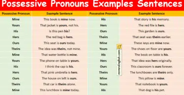 Possessive Pronouns Examples Sentences in English with Pictures