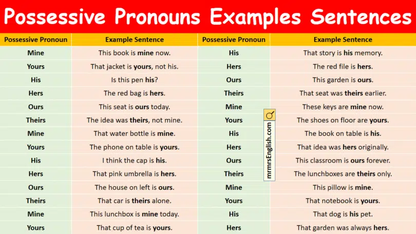 Possessive Pronouns Examples Sentences in English with Pictures