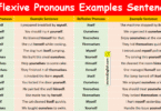 Reflexive Pronouns Examples Sentences in English with Pictures