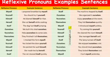 Reflexive Pronouns Examples Sentences in English with Pictures
