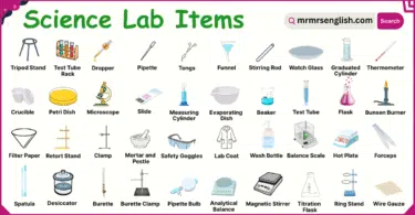 Science Lab Items Names in English with their Pictures