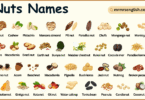 Types of Nuts Names in English with their Pictures