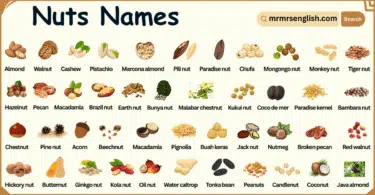 Types of Nuts Names in English with their Pictures
