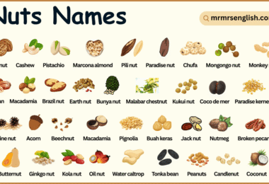 Types of Nuts Names in English with their Pictures