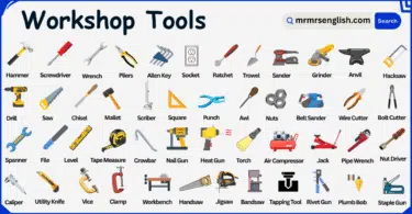 Workshop Tools Names in English with their Pictures