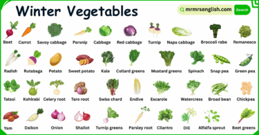 100 Winter Vegetables Names in English with Their Pictures