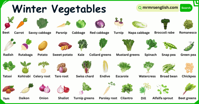 100 Winter Vegetables Names in English with Their Pictures