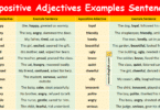 Appositive Adjectives Examples Sentences in English with Pictures