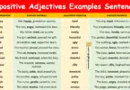 Appositive Adjectives Examples Sentences in English with Pictures