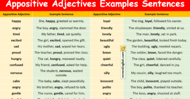 Appositive Adjectives Examples Sentences in English with Pictures