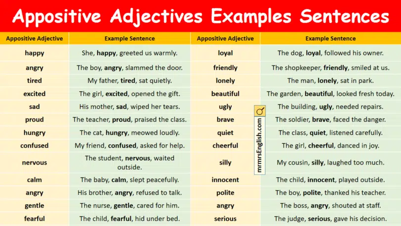 Appositive Adjectives Examples Sentences in English with Pictures