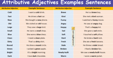 Attributive Adjectives Examples Sentences in English with Pictures