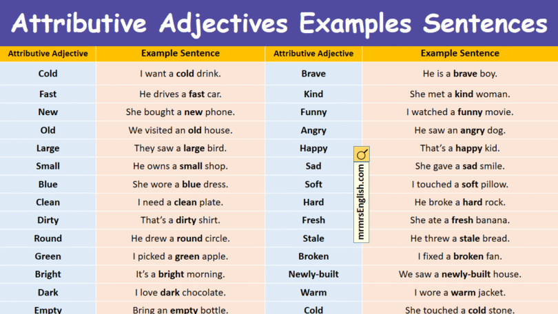 Attributive Adjectives Examples Sentences in English with Pictures