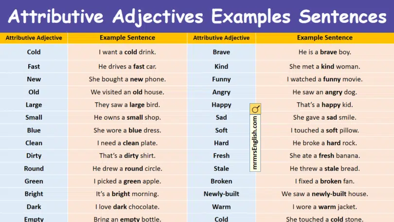Attributive Adjectives Examples Sentences in English with Pictures