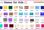 Colors Names for Kids in English with their Pictures