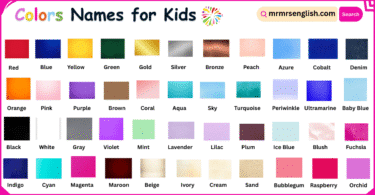 Colors Names for Kids in English with their Pictures