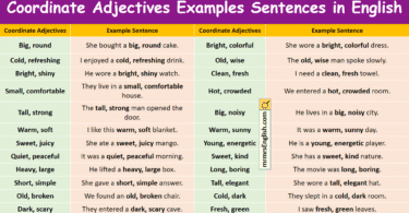 Coordinate Adjectives Examples Sentences in English with Pictures