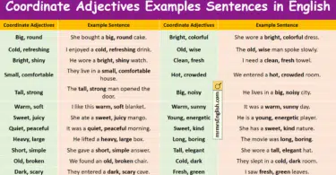 Coordinate Adjectives Examples Sentences in English with Pictures