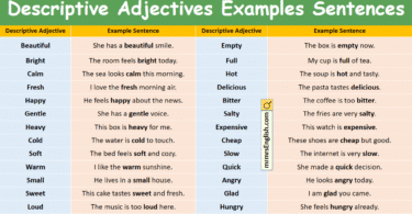 Descriptive Adjectives Examples Sentences in English with Pictures