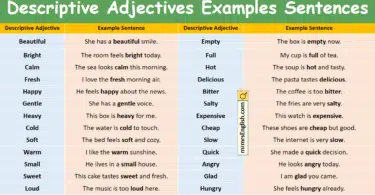 Descriptive Adjectives Examples Sentences in English with Pictures