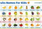 Fruits Names For Kids in English with Their Pictures