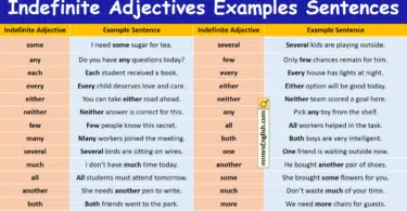 Indefinite Adjectives Examples Sentences in English with Pictures
