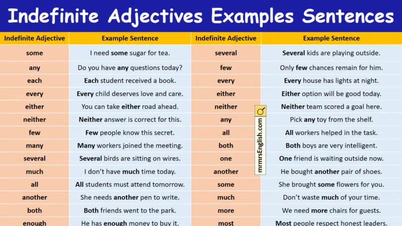 Indefinite Adjectives Examples Sentences in English with Pictures