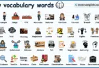 Law Vocabulary Words in English with Their Pictures
