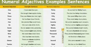Numeral Adjectives Examples Sentences in English with Pictures