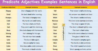 Predicate Adjectives Examples Sentences in English with Pictures