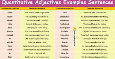 Quantitative Adjectives Examples Sentences in English with Images