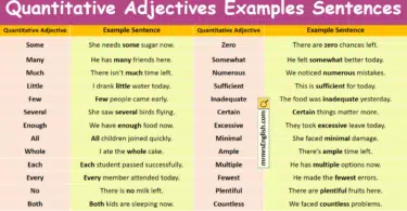 Quantitative Adjectives Examples Sentences in English with Images