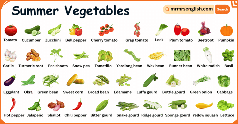 Summer Vegetables Names in English with Their Pictures