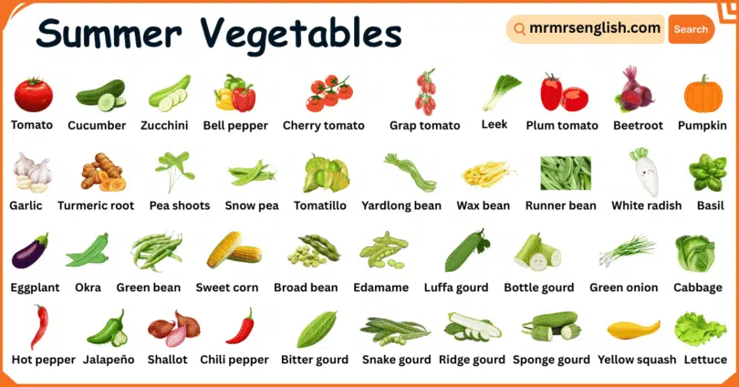 Summer Vegetables Names in English with Their Pictures