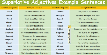 Superlative Adjectives Example Sentences in English with Pictures