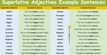 Superlative Adjectives Example Sentences in English with Pictures