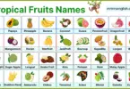 Tropical Fruits Names in English with Their Pictures