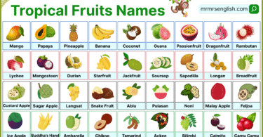 Tropical Fruits Names in English with Their Pictures