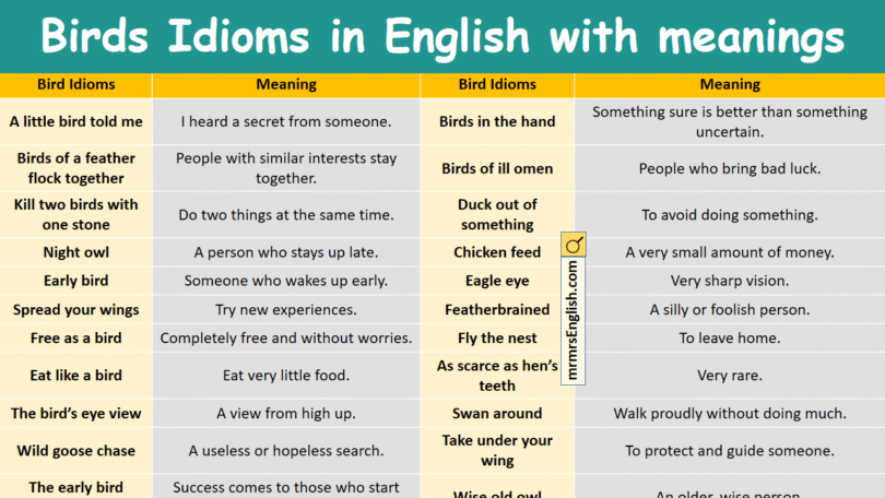 Bird Idioms in English with meanings and Pictures