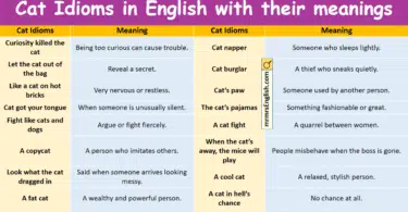 Cat Idioms in English with their meanings and Pictures